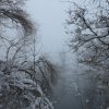 Winter am Weitmannsee